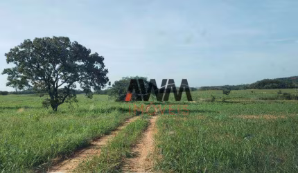 Fazenda à venda, 1.824.68 hectares  por R$ 20.000.000 - Zona Rural - Campos Lindos/TO