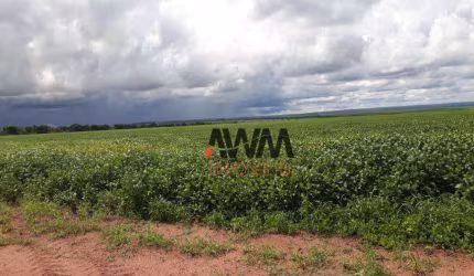 Fazenda à venda, 47730000 m² por R$ 300.000.000,00 - Centro - Nova Xavantina/MT