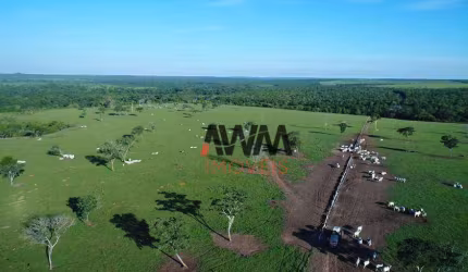 Fazenda à venda, 62800000 m² por R$ 120.000.000,00 - Vila Nova - Paranatinga/MT