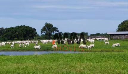 Fazenda à venda, 16900000 m² por R$ 59.150.000,00 - Zona Rural - Miranda/MS