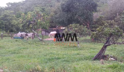 Fazenda à venda, 77.44 hectares por R$ 3.200.000 - Centro - Goiás/GO