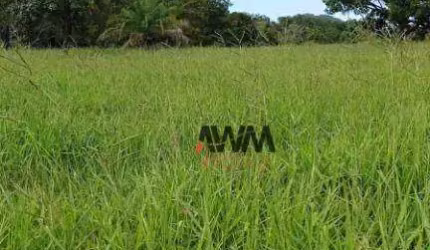 Fazenda à venda, 2444000 m² por R$ 13.000.000,00 - Zona Rural - Novo Brasil/GO