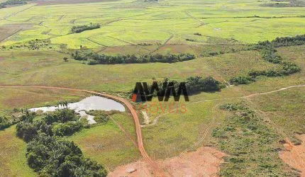 Fazenda à venda, 43560000 m² por R$ 135.000.000,00 - Centro - Ananás/TO