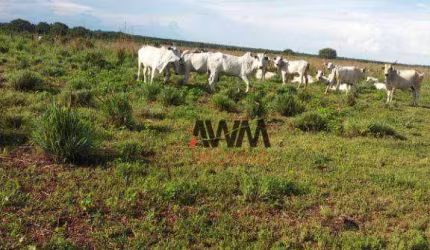 Fazenda à venda, 79279200 m² por R$ 200.000.000,00 - Zona Rural - Duerê/TO