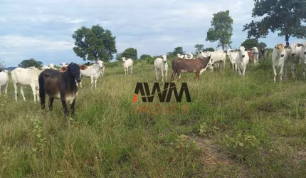 Fazenda à venda, 2032800 m² por R$ 5.880.000,00 - Zona Rural - Faina/GO