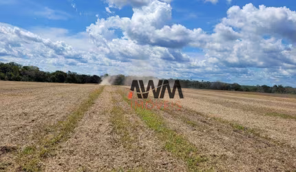 Fazenda à venda, 22264000 m² por R$ 46.000.000,00 - Zona Rural - Santa Maria do Tocantins/TO