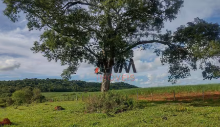 Fazenda à venda, 871200 m² por R$ 5.400.000,00 - Vila Olinda - Anicuns/GO