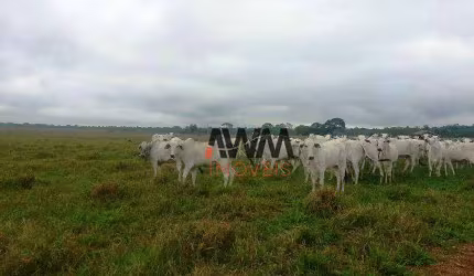 Fazenda à venda, 21000 m² por R$ 450.000.000,00 - Novo Diamantino - Diamantino/MT