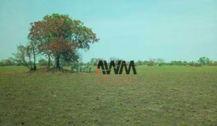 Fazenda à venda, 72000000 m² por R$ 18.000.000,00 - Zona Rural - Alto Boa Vista/MT