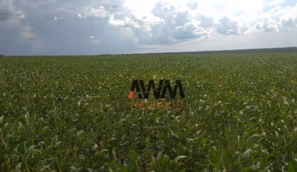 Fazenda à venda, 48450000 m² por R$ 122.000.000,00 - Fazenda - Paranatinga/MT