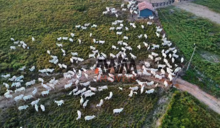 Fazenda à venda, 105028000 m² por R$ 330.000.000,00 - Velha Marabá - Marabá/PA
