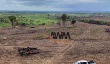 Fazenda à venda, 10406000 m² por R$ 27.000.000,00 - Centro - Goianésia do Pará/PA