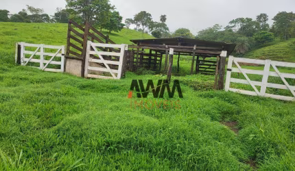 Chácara com 3 Quartos à venda, 96800 m² por R$ 780.000 - Zona Rural - Itauçu/GO