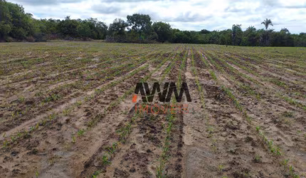 Fazenda à venda, 421079 m² por R$ 1.500.000,00 - Zona Rural - Matrinchã/GO