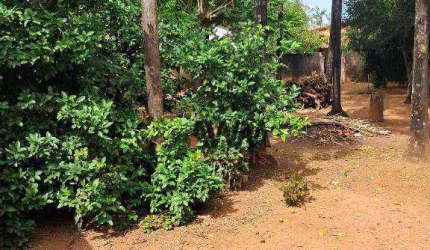 Área à venda, 2635 m² por R$ 2.200.000 - Setor Central - São Luís de Montes Belos/GO