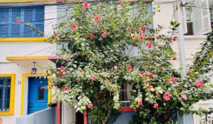 Charme e aconchego Casa de vila com 3 dormitórios à venda - Itaim Bibi / Vila Olimpia- São Paulo/SP