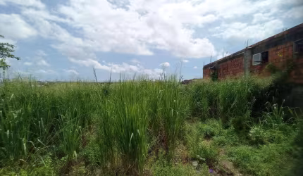 Terreno Urbano para Venda em Salvador, Águas Claras