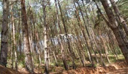 Terreno- Petrópolis, Araras