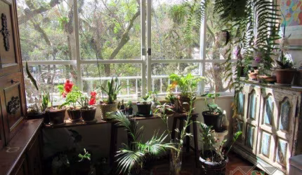 Apartamento- Petrópolis, Centro