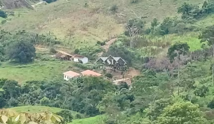 Fazenda- Sapucaia, Sapucaia