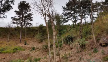 Terreno- Petrópolis, Itaipava