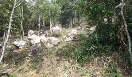 Terreno- Petrópolis, Samambaia