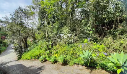 Terreno- Petrópolis, Carangola