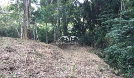 Terreno- Areal, Julioca