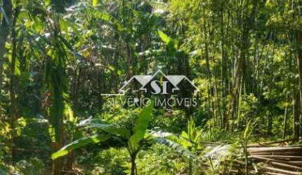 Terreno- Petrópolis, Bingen