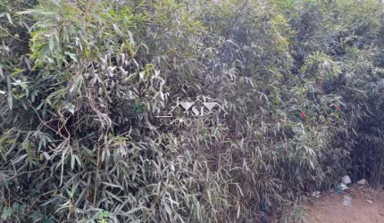 Terreno- Petrópolis, Caxambú