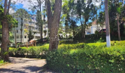 Apartamento- Petrópolis, Independência