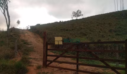 Terreno à venda, 30000 m² por R$ 250.000,00 - Morro Azul - Paraibuna/SP