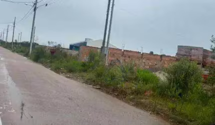 Terreno à venda, Estados - Fazenda Rio Grande/Paraná