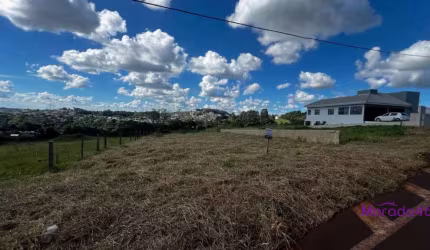 TERRENO PARA VENDA NO BAIRRO INDUSTRIAL - TE85