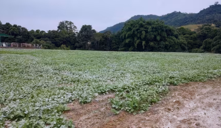 Lindo Sítio à Venda no Centro de Leoberto Leal – 8.335 m² de Oportunidade!