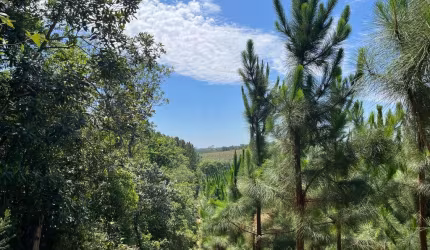 Fazenda à venda no Indaiatuba/Matão, Buri , 306324 m2 por R$ 3.000.000