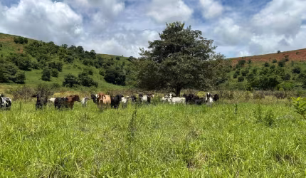 FAZENDINHA DE 5,5 ALQUEIRES PROXIMO DA CIDADE