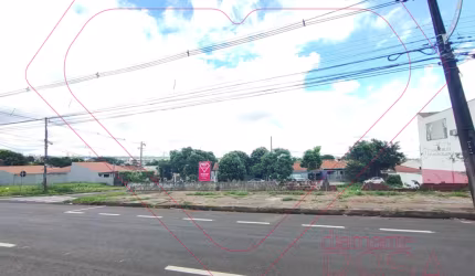 TERRENO COMERCIAL DISPONÍVEL PARA VENDA OU LOCAÇÃO, SITUADO NA AVENIDA TUIUTI, MARINGÁ