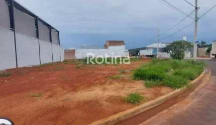 Terreno para alugar, Novo Mundo - Uberlândia/MG - Rotina Imobiliária