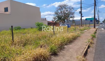 Terreno para alugar, Alto Umuarama - Uberlândia/MG - Rotina Imobiliária