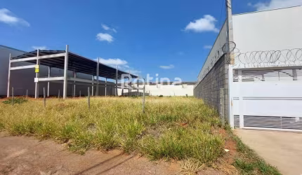 Terreno para alugar, Alto Umuarama - Uberlândia/MG - Rotina Imobiliária