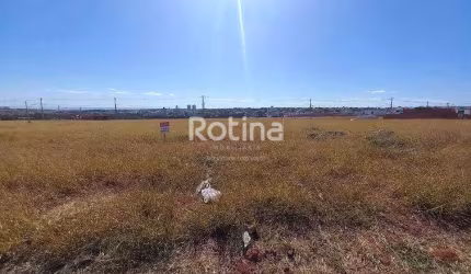 Terreno para alugar, Alto Umuarama - Uberlândia/MG - Rotina Imobiliária