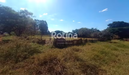 Área para alugar, Morada dos Pássaros - Uberlândia/MG - Rotina Imobiliária