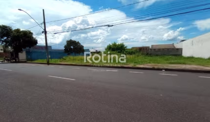 Terreno para alugar, Jardim Botânico - Uberlândia/MG - Rotina Imobiliária