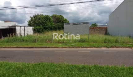 Área para alugar, Jardim Botânico - Uberlândia/MG - Rotina Imobiliária