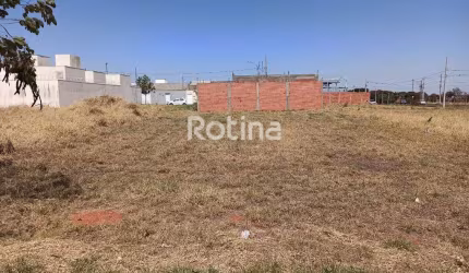 Terreno para alugar, Minas Gerais - Uberlândia/MG - Rotina Imobiliária