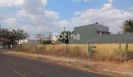 Terreno para alugar, Jardim das Palmeiras - Uberlândia/MG - Rotina Imobiliária