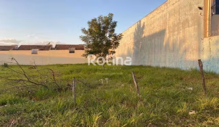 Terreno para alugar, Alto Umuarama - Uberlândia/MG - Rotina Imobiliária