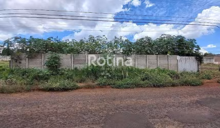 Terreno para alugar, Cidade Jardim - Uberlândia/MG - Rotina Imobiliária