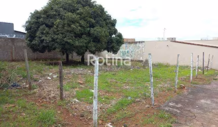 Terreno para alugar, Pampulha - Uberlândia/MG - Rotina Imobiliária